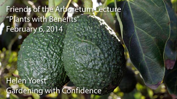 "Plants with Benefits" - Helen Yoest, Gardening with Confidence - February 6, 2014 