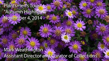 "Autumn Highlights" - Mark Weathington, Assistant Director and Curator of Collections - November 4, 2014