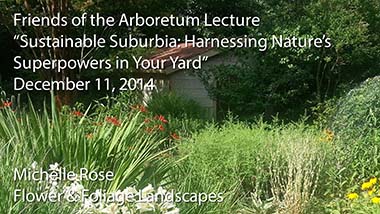 "Sustainable Suburbia: Harnessing Nature's Superpowers in Your Yard" - Michelle Rose, Flower & Foliage Landscapes - December 11, 2014
