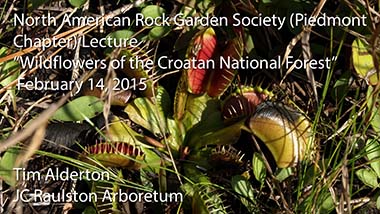 "Wildflowers of the Croatan National Forest" - Tim Alderton, JC Raulston Arboretum - February 14, 2015