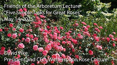 "Five Simple Tasks for Great Roses" - David Pike, Witherspoon Rose Culture - May 14, 2015