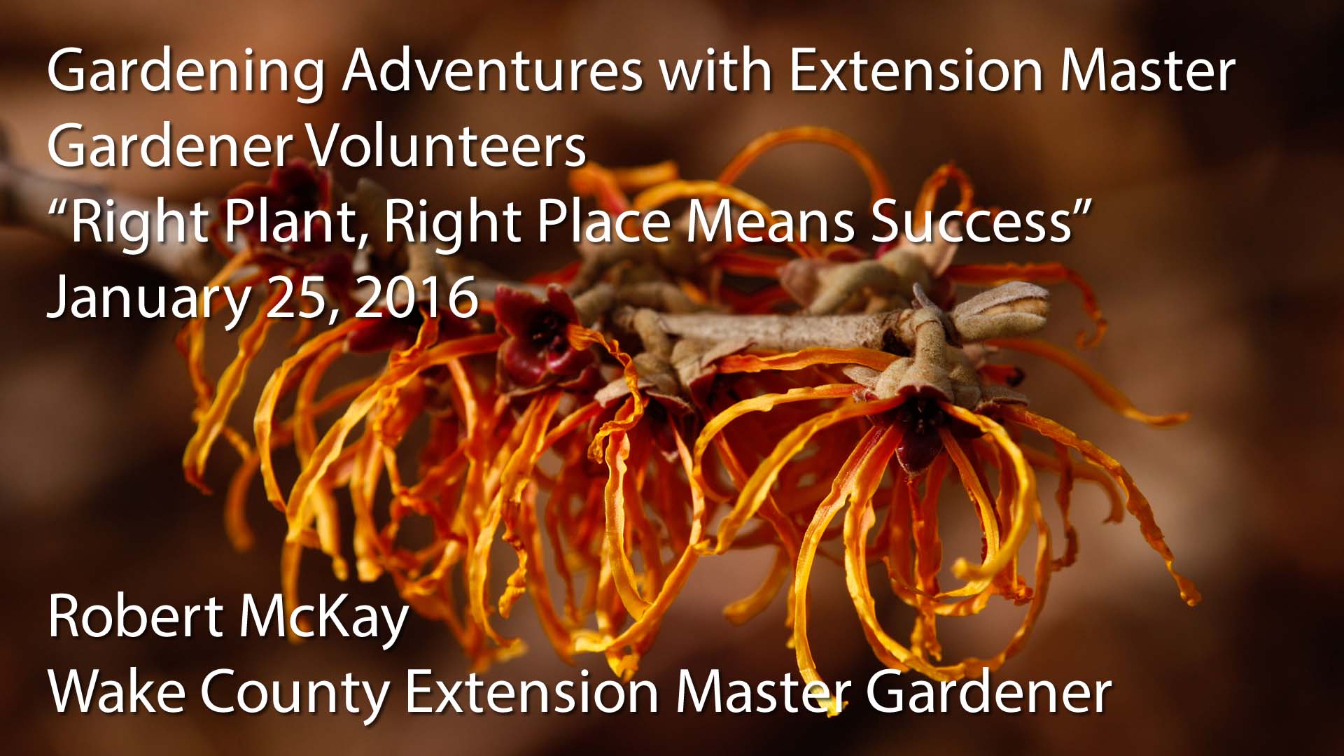 Gardening Adventures with Extension Master Gardener Volunteers Lecture - Robert McKay - _Right Plant_ Right Place Means Success_
