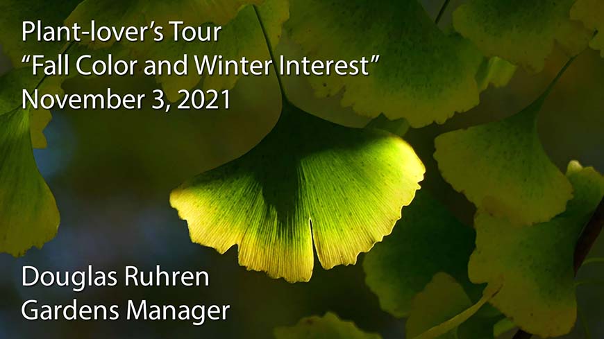 video poster for "Fall Color and Winter Interest"