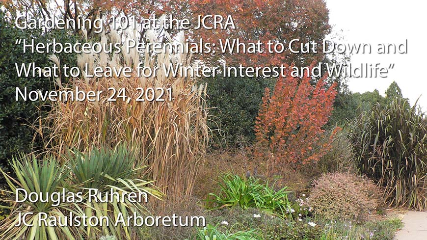 video poster for "Herbaceous Perennials: What to Cut Down and What to Leave for Winter Interest and Wildlife"