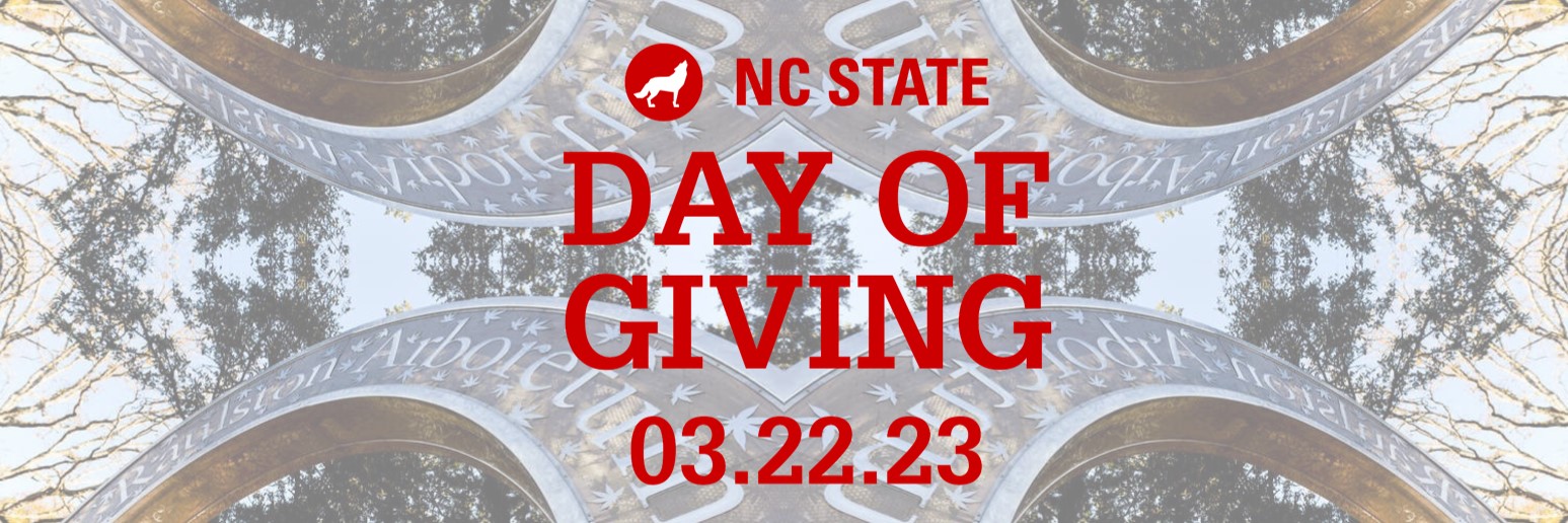 Day of Giving Banner