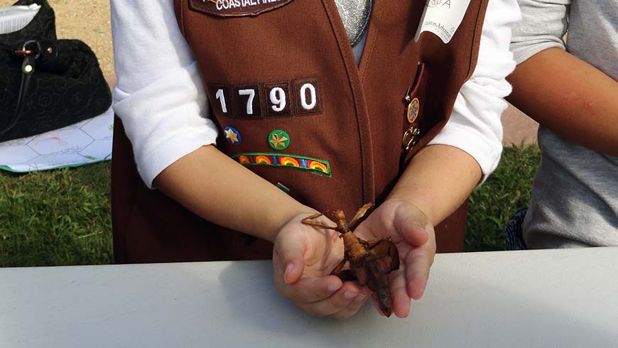 Girl Scout holding insect