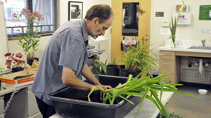 Herbaceous perennials propagation workshop