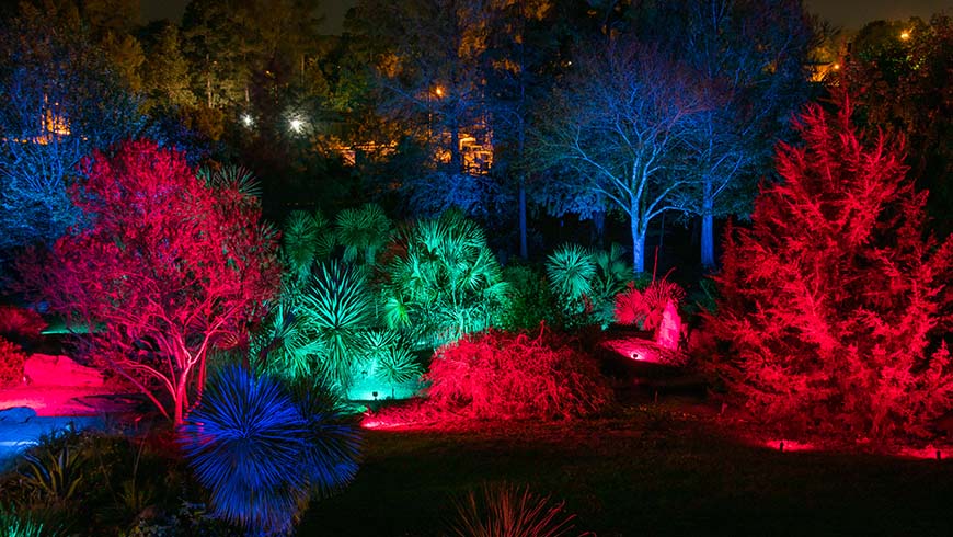 outdoor landscape lighting-color changing LED lights