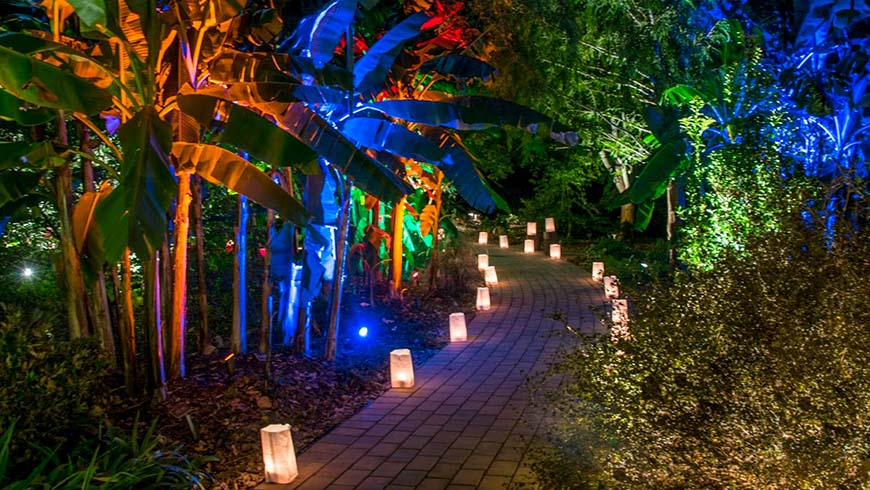outdoor landscape lighting-colorful bananas and luminaria