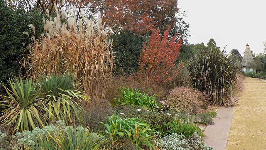 Perennial Border in late fall with perennials that need to be cut back