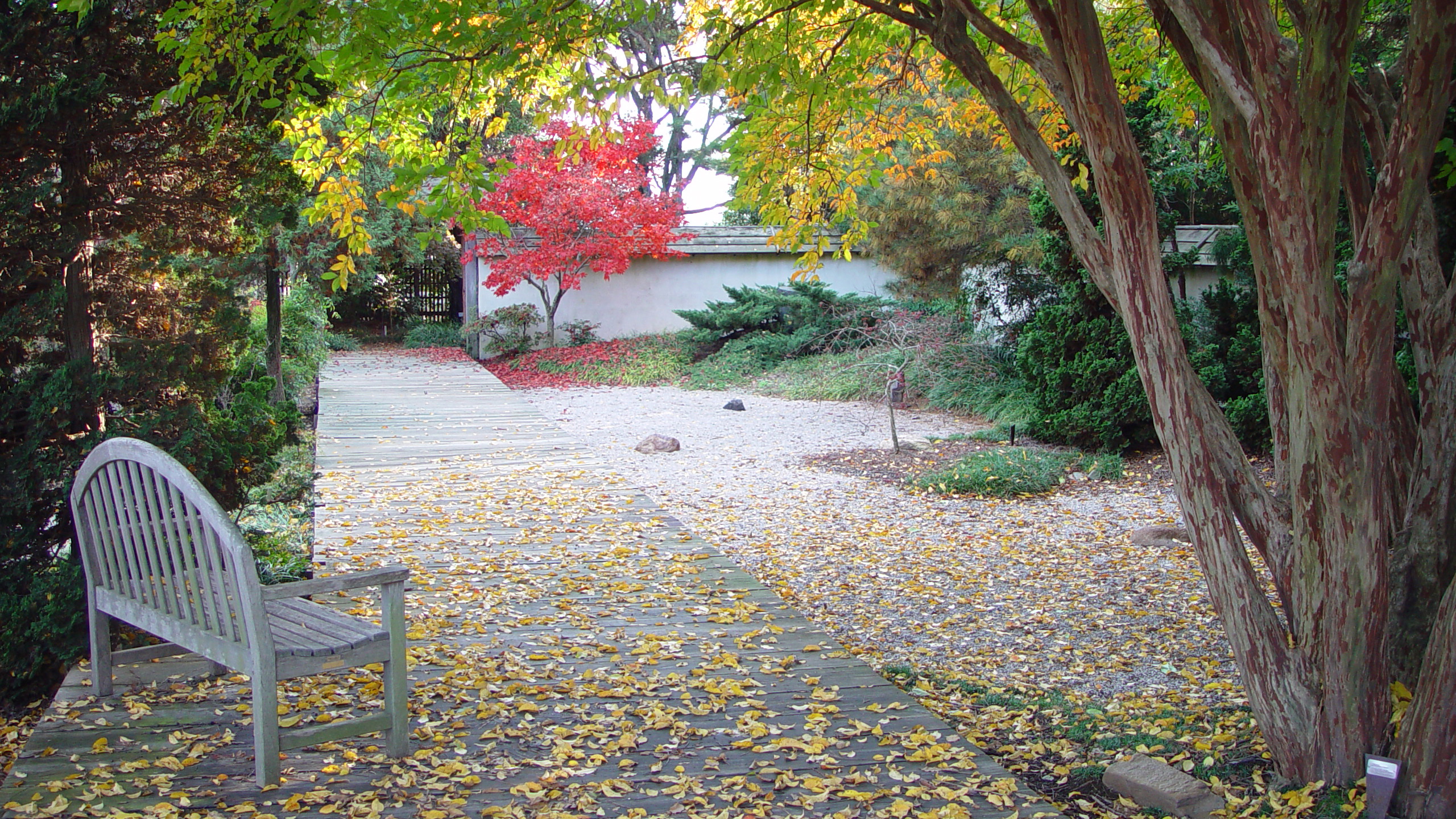 Photo of Japanese Garden