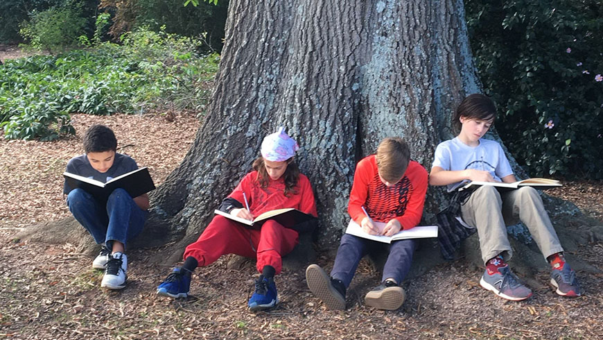 Students reading by tree