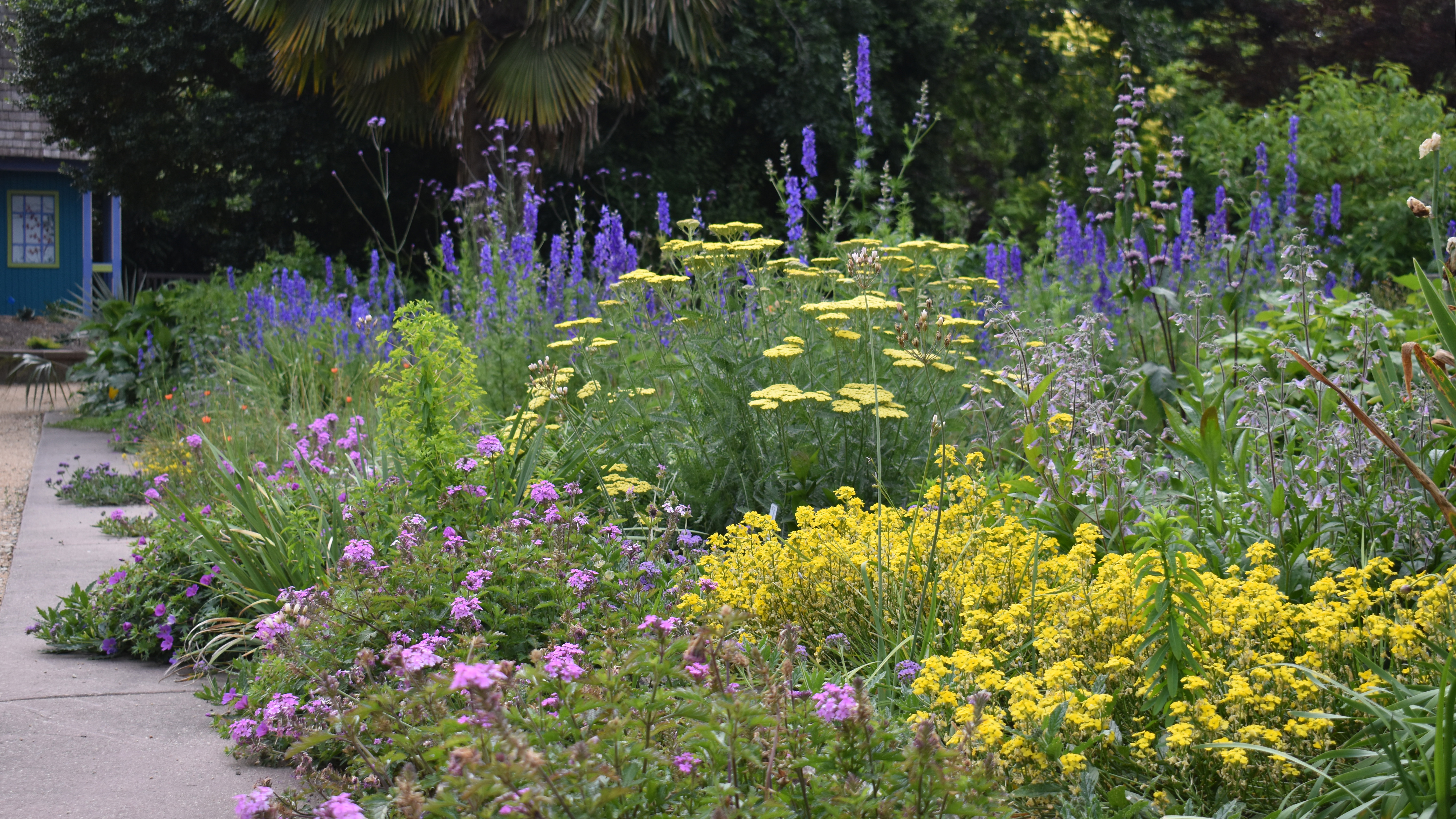 A drift of herbaceous perennials leading up to the necessary