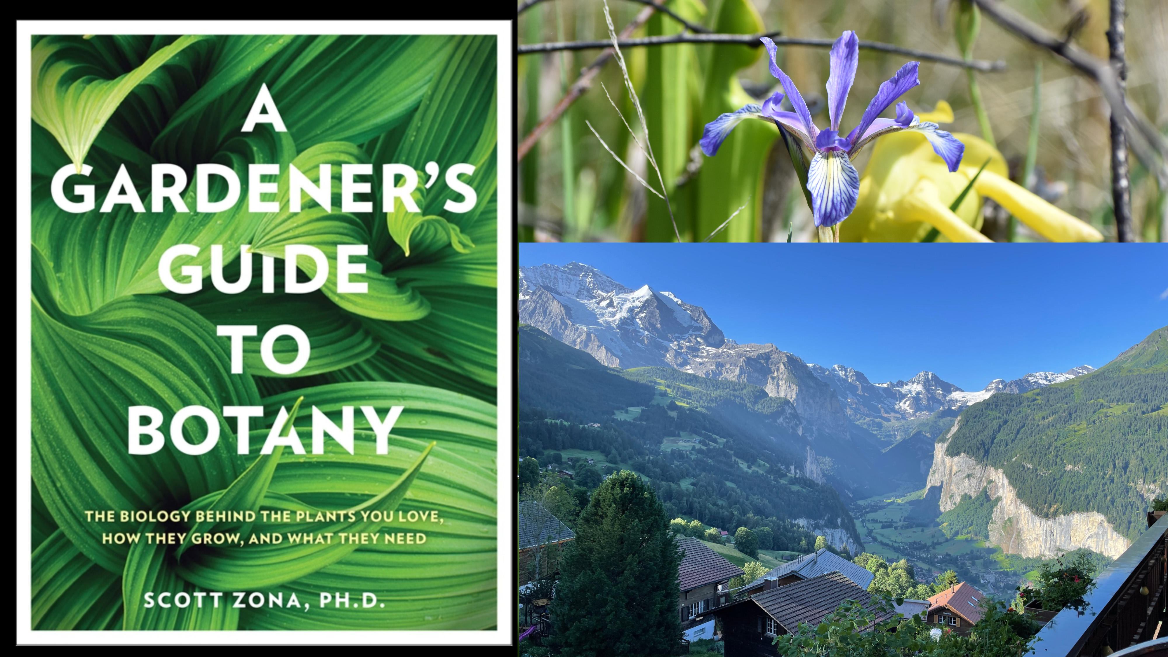 Collage featuring A Gardener's guide to Botany, the swiss alps, and an iris