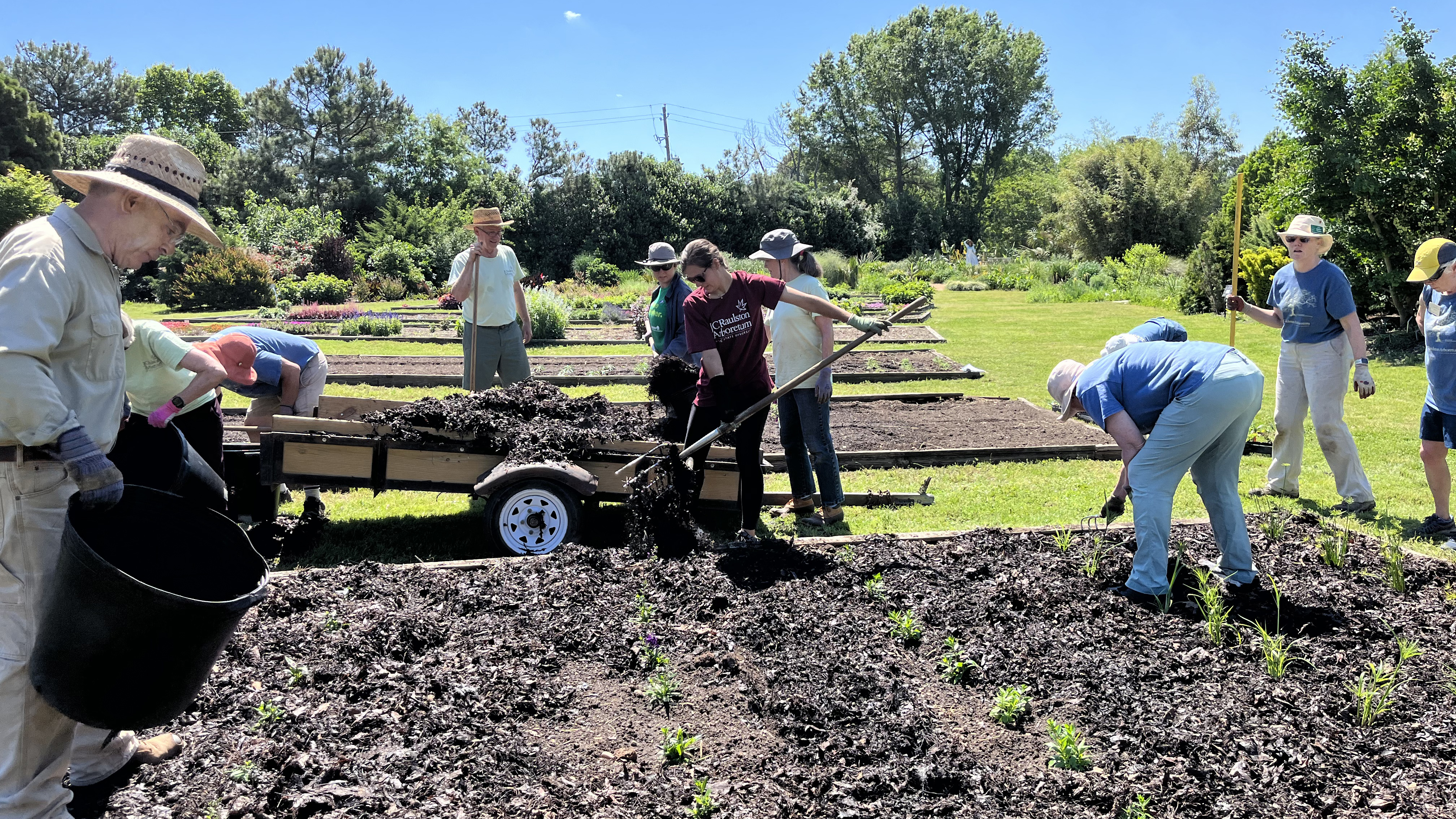 Interns and volunteers preparing the trial beds at the JCRA