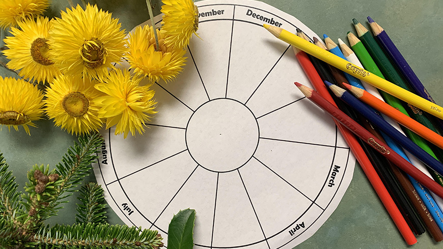 flowers, greens and colored pencils with a blank phenology wheel