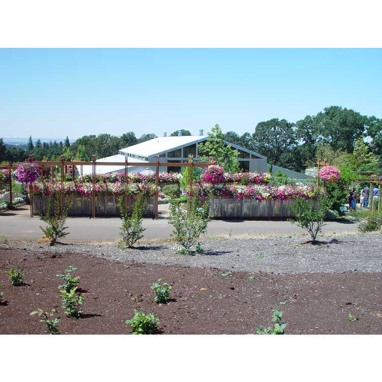 Oregon Garden, The