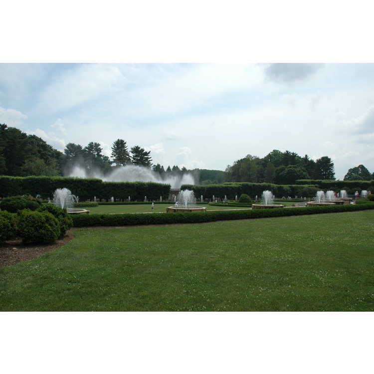 Main Fountain Garden