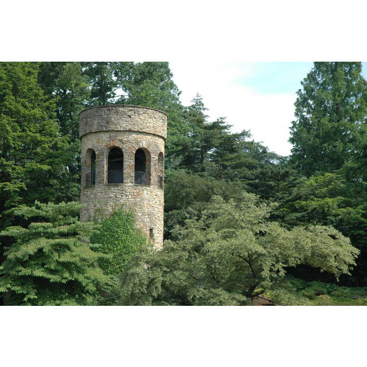 Chimes Tower