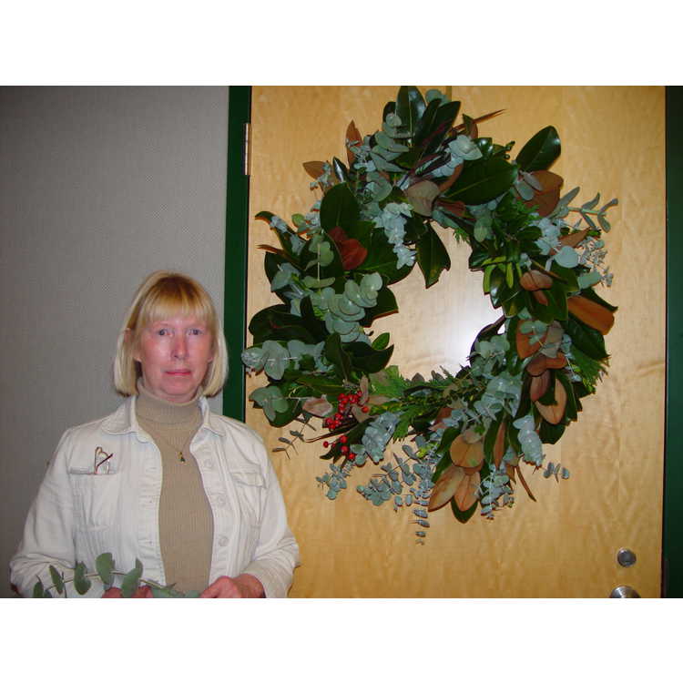 Volunteer Wreath Workshop