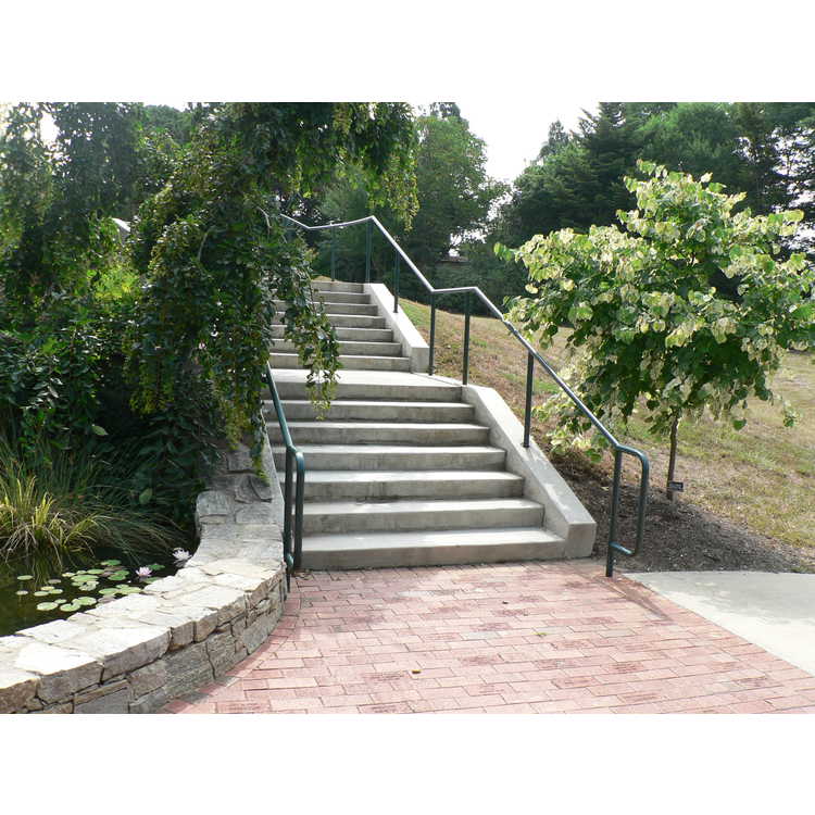 Duch Stair Cascade Garden