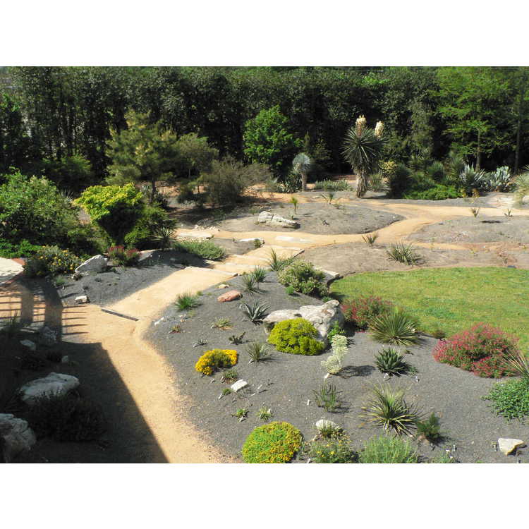 Scree Garden and Xeric Garden