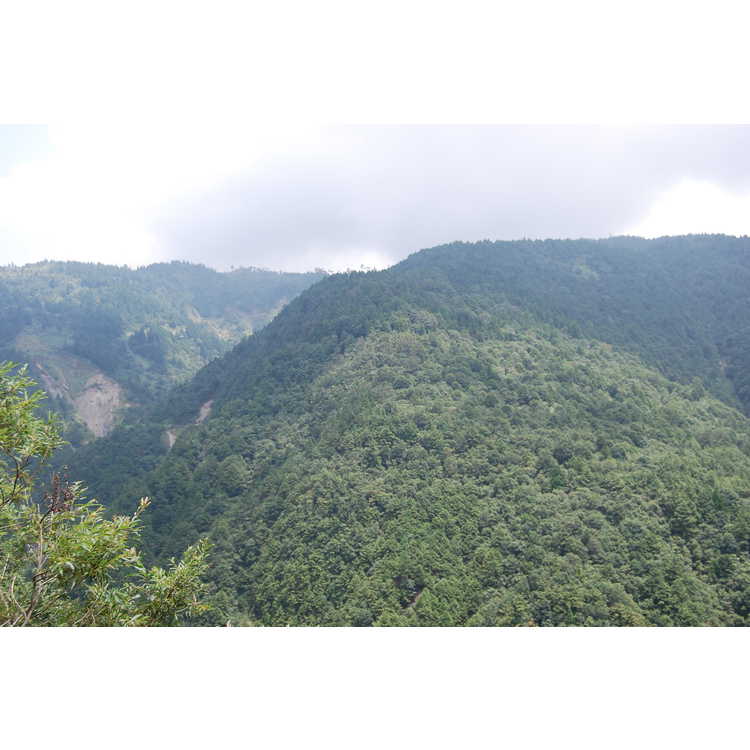 Taipingshan Forest Recreation Area
