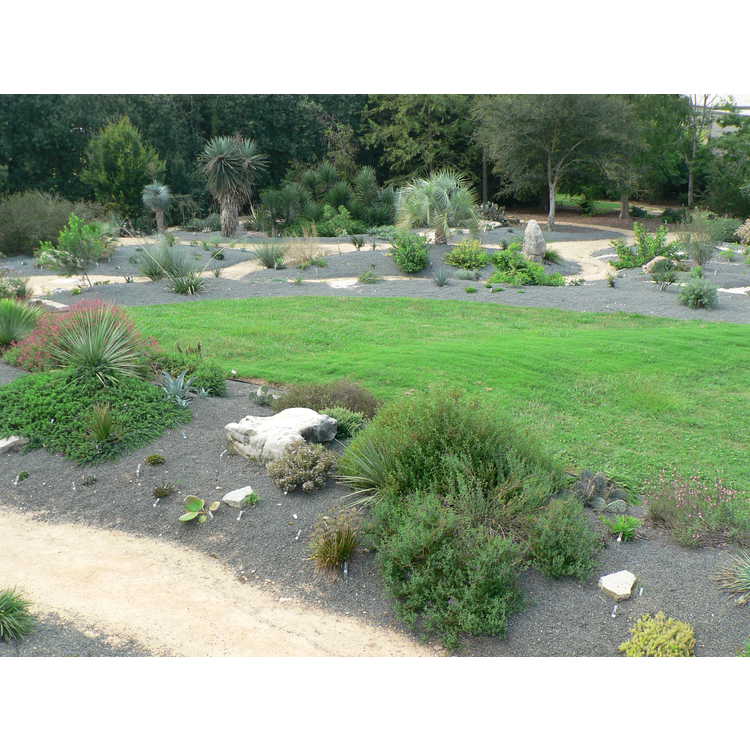 Scree Garden and Xeric Garden