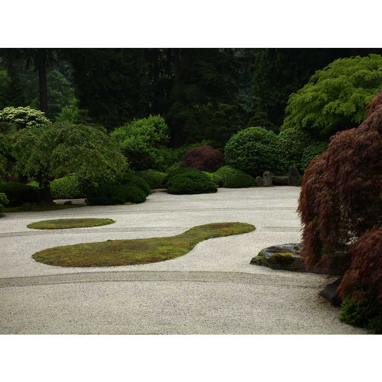 Washington Park, Portland Japanese Garden