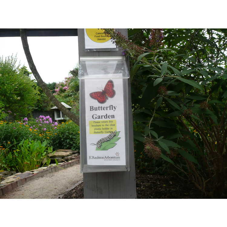 Butterfly Garden (one of the model gardens)