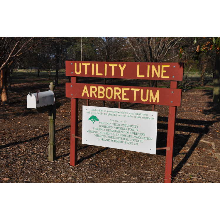 Utility Line Arboretum