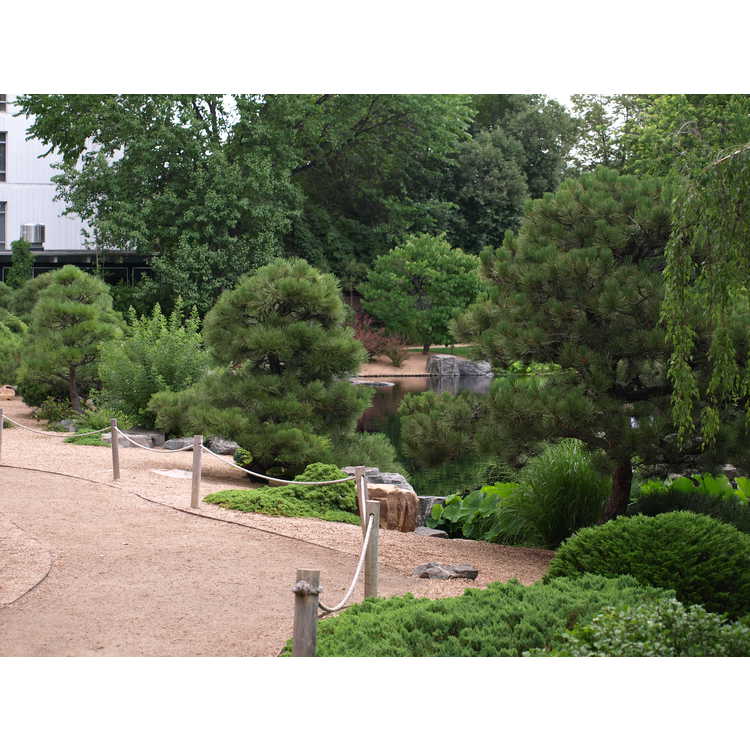 Denver Botanical Garden