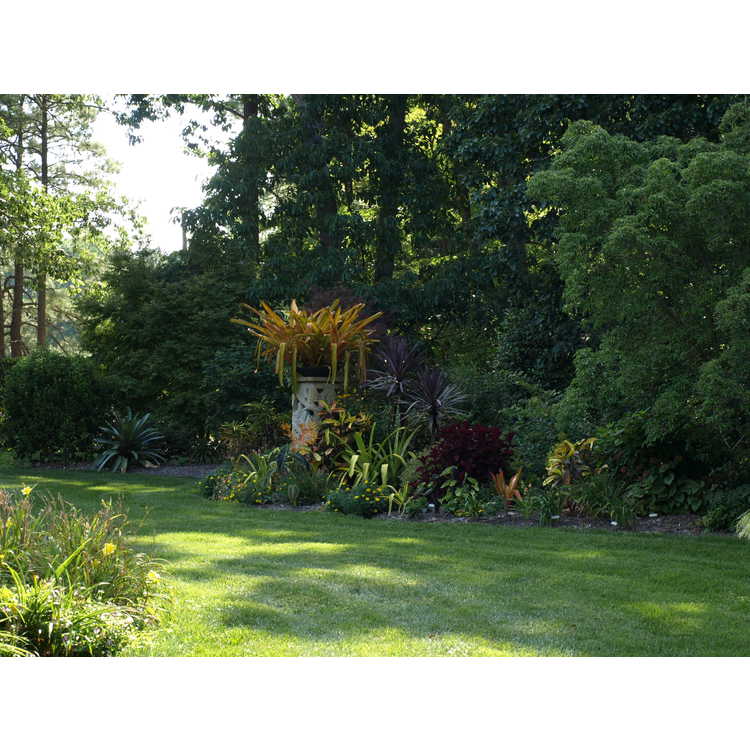 Bill and Linda Pinkham's garden