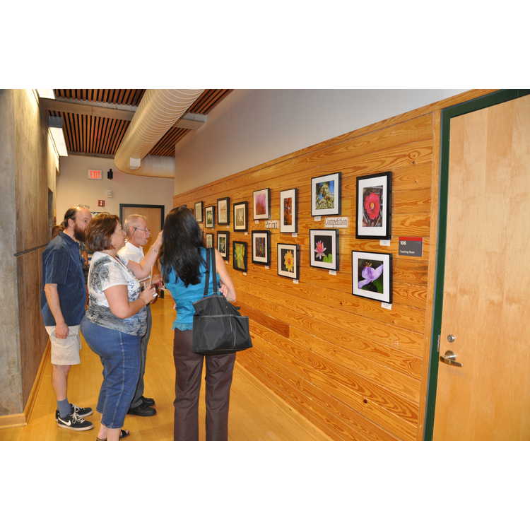 Juried Print Competition (opening reception)