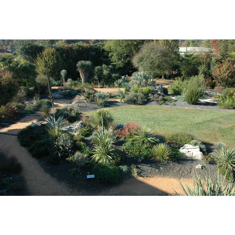 Scree Garden