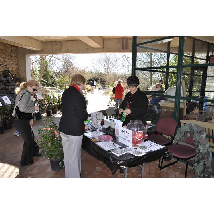 Triangle Camellia Society's 4th Annual Camellia Show and Plant Sale