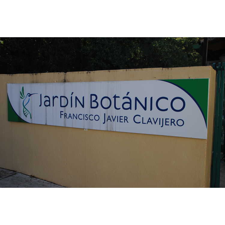 Jardin Botanico Francisco Javier Clavijero
