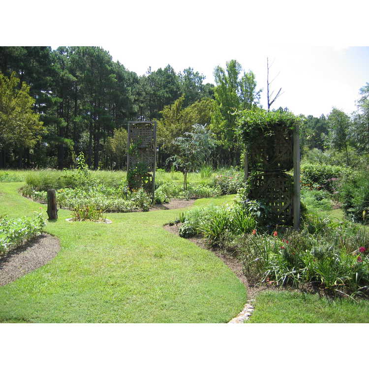 Moore Farms Botanical Garden