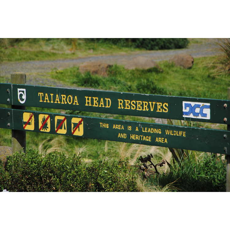 Taiaroa Head Reserves