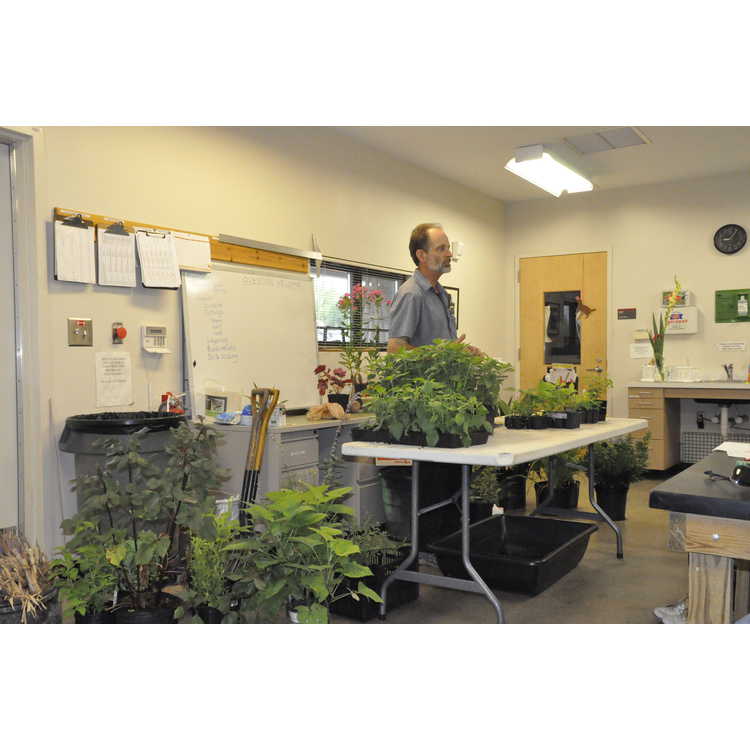 Herbaceous Perennials Propagation Workshop
