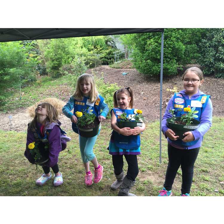 Girl Scout Program - Flower Garden