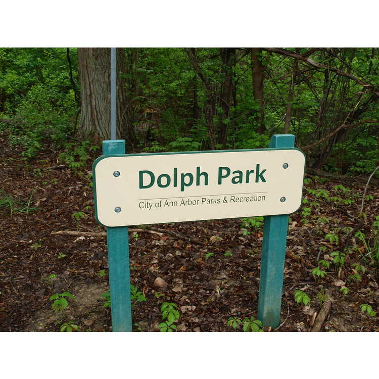 Dolph Park