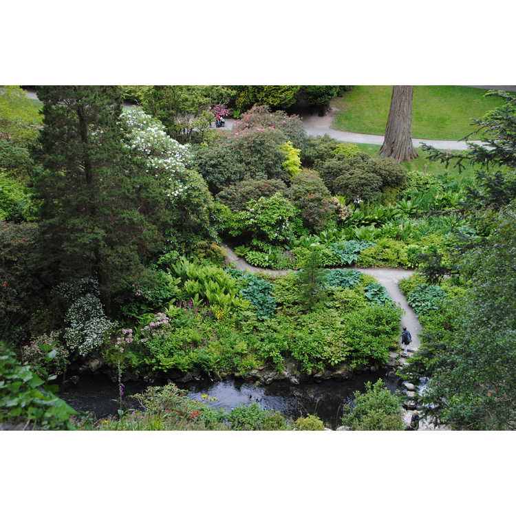 Bodnant Garden 