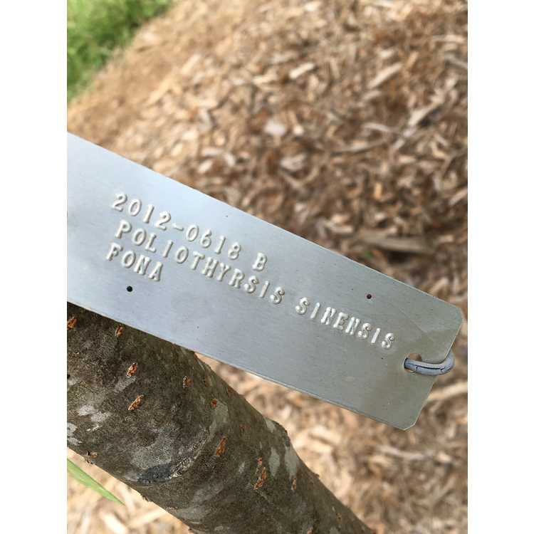 The F.A. Bartlett Tree Expert Company