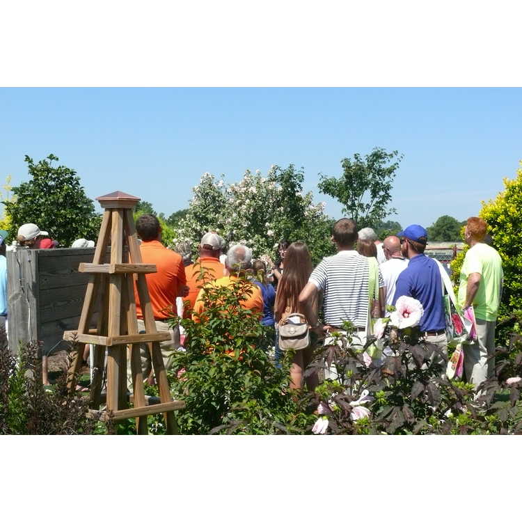 Landscape Color and Professional Field Day 