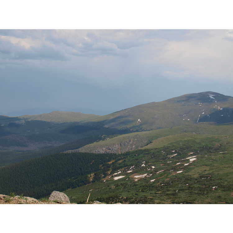 Arapaho National Forest, Mt Evans Rd