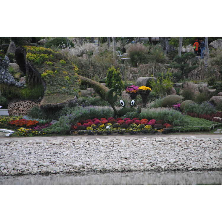 Suncheon Bay National Garden