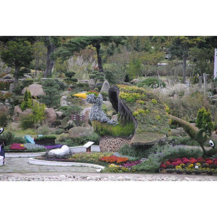 Suncheon Bay National Garden