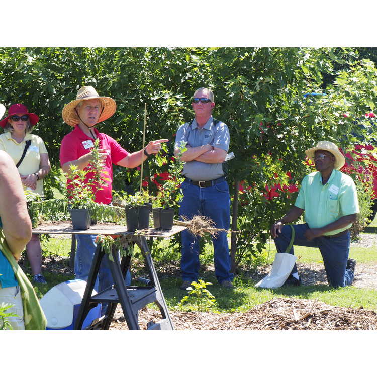 Landscape Color and Professional Field Day