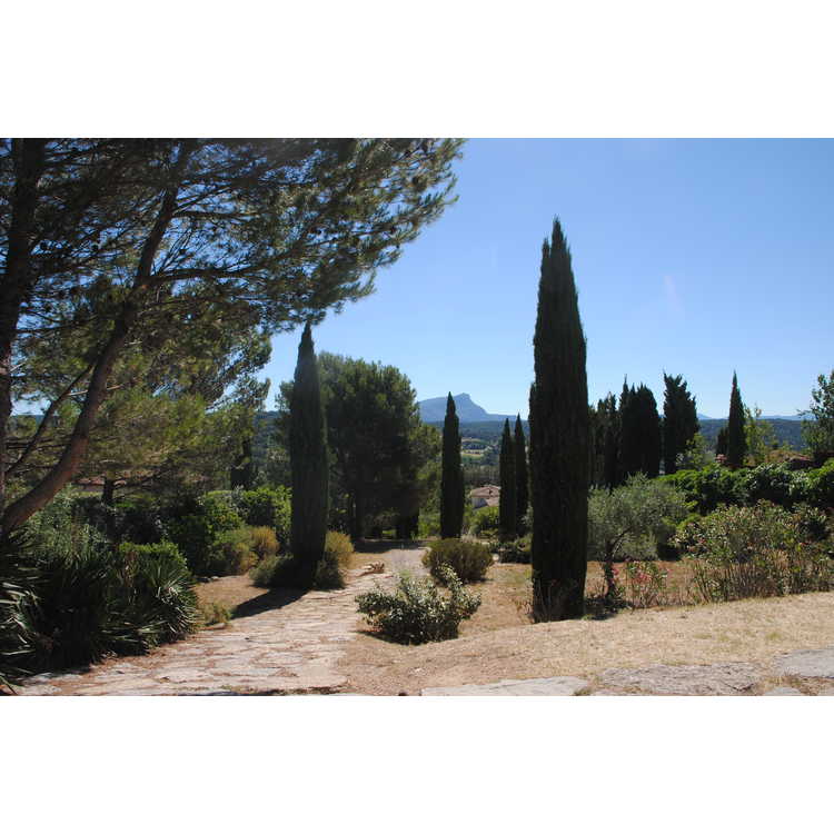 Gardens, Wine, Art, Food, and Markets—Italy, Monaco, and France with the JC Raulston Arboretum